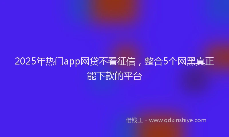 2025年热门app网贷不看征信，整合5个网黑真正能下款的平台