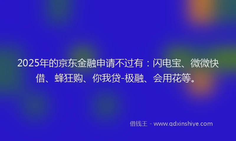 2025年的京东金融申请不过有：闪电宝、微微快借、蜂狂购、你我贷-极融、会用花等。