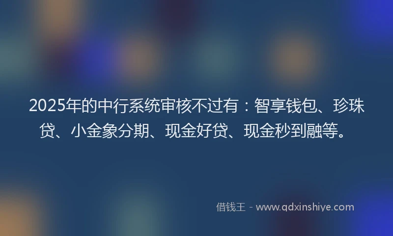 2025年的中行系统审核不过有：智享钱包、珍珠贷、小金象分期、现金好贷、现金秒到融等。