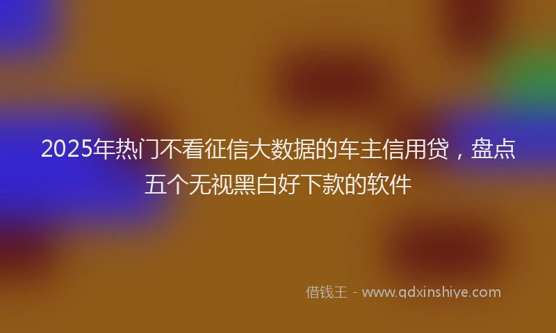 2025年热门不看征信大数据的车主信用贷，盘点五个无视黑白好下款的软件