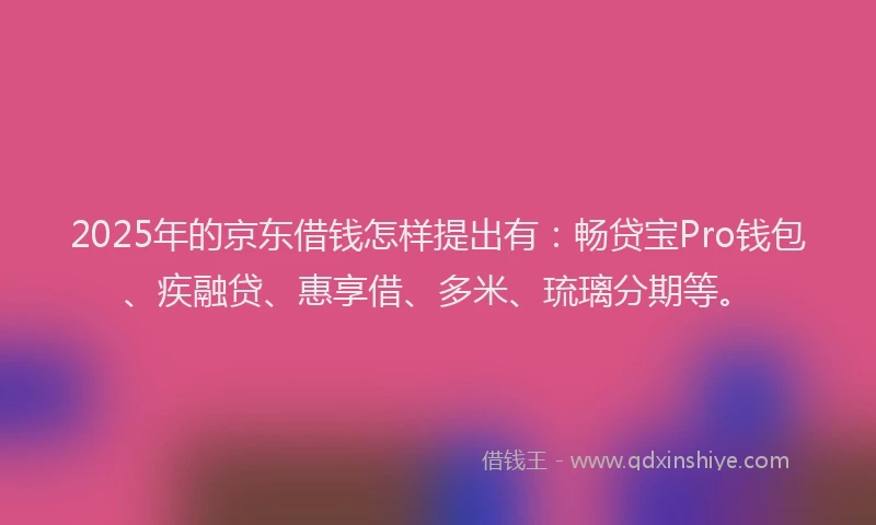 2025年的京东借钱怎样提出有：畅贷宝Pro钱包、疾融贷、惠享借、多米、琉璃分期等。