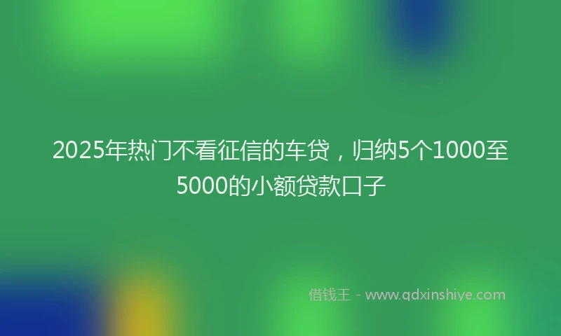 2025年热门不看征信的车贷，归纳5个1000至5000的小额贷款口子