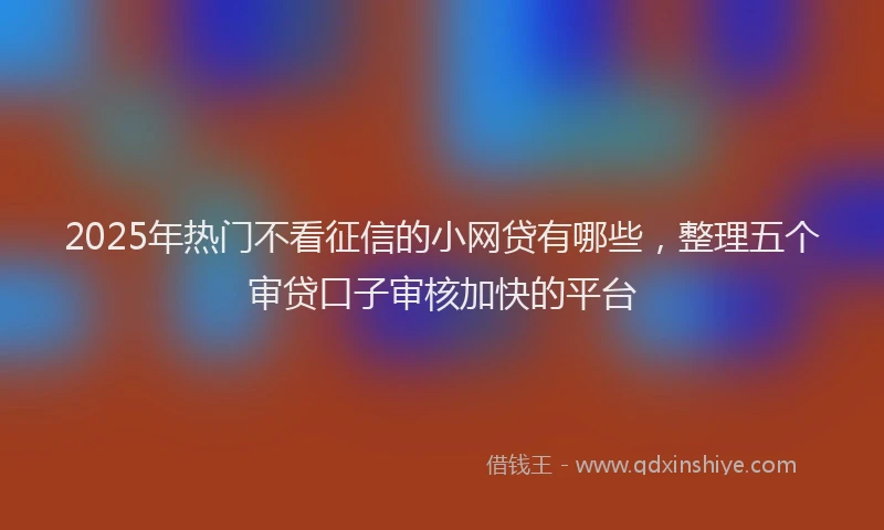 2025年热门不看征信的小网贷有哪些，整理五个审贷口子审核加快的平台