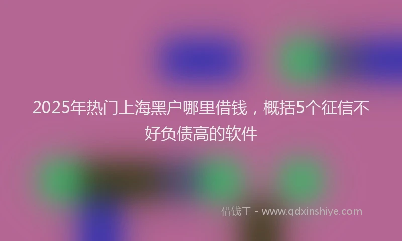 2025年热门上海黑户哪里借钱，概括5个征信不好负债高的软件