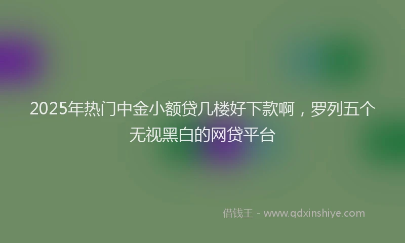 2025年热门中金小额贷几楼好下款啊，罗列五个无视黑白的网贷平台