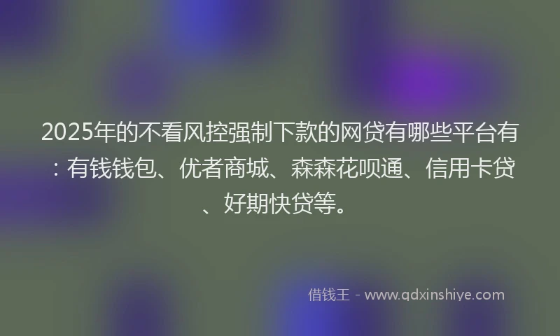 2025年的不看风控强制下款的网贷有哪些平台有：有钱钱包、优者商城、森森花呗通、信用卡贷、好期快贷等。
