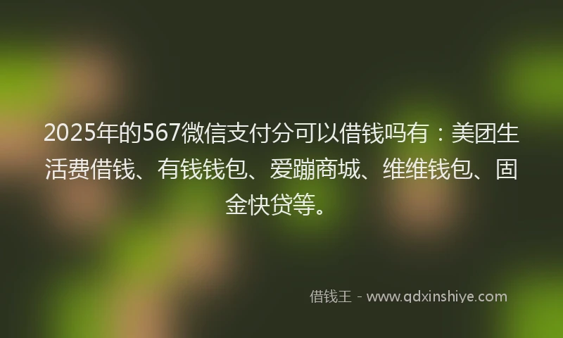 2025年的567微信支付分可以借钱吗有：美团生活费借钱、有钱钱包、爱蹦商城、维维钱包、固金快贷等。