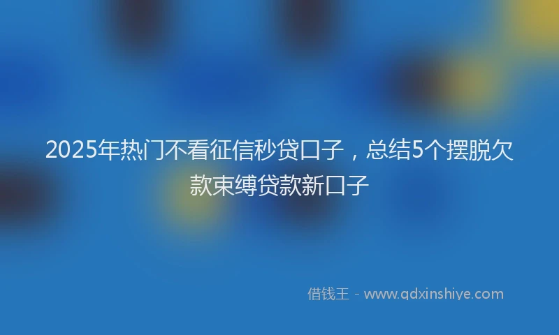 2025年热门不看征信秒贷口子，总结5个摆脱欠款束缚贷款新口子