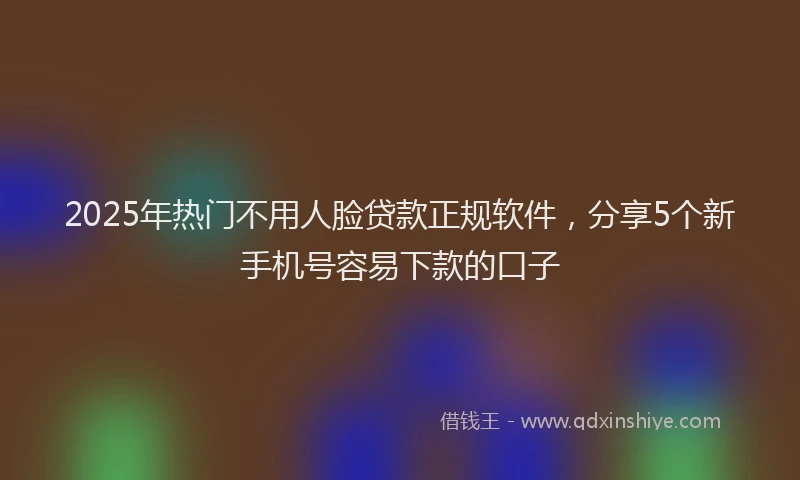 2025年热门不用人脸贷款正规软件，分享5个新手机号容易下款的口子