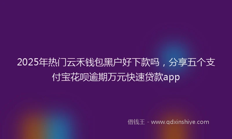 2025年热门云禾钱包黑户好下款吗，分享五个支付宝花呗逾期万元快速贷款app