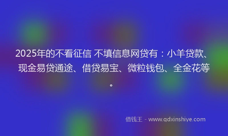 2025年的不看征信 不填信息网贷有：小羊贷款、现金易贷通途、借贷易宝、微粒钱包、全金花等。