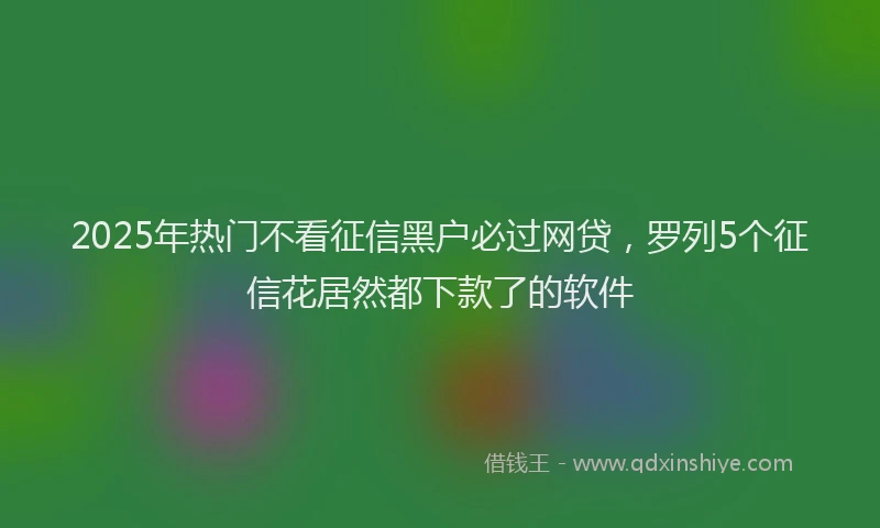 2025年热门不看征信黑户必过网贷，罗列5个征信花居然都下款了的软件