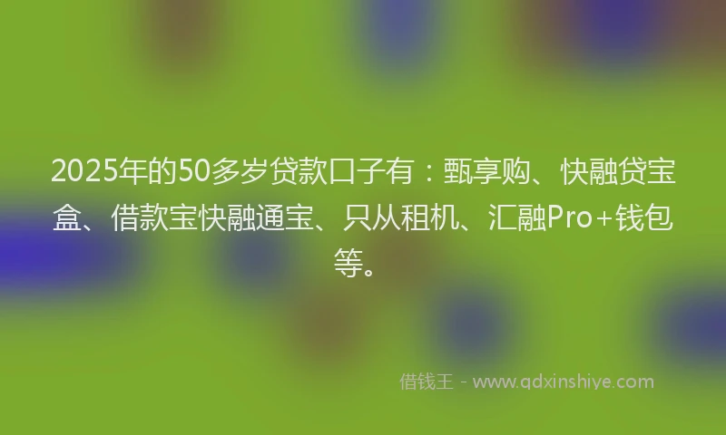 2025年的50多岁贷款口子有：甄享购、快融贷宝盒、借款宝快融通宝、只从租机、汇融Pro+钱包等。