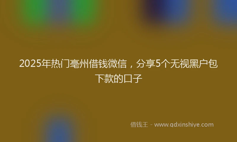 2025年热门亳州借钱微信，分享5个无视黑户包下款的口子