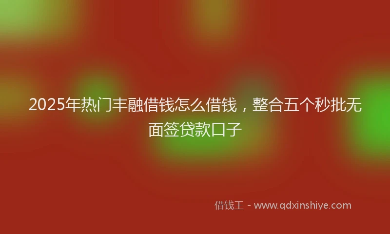 2025年热门丰融借钱怎么借钱，整合五个秒批无面签贷款口子