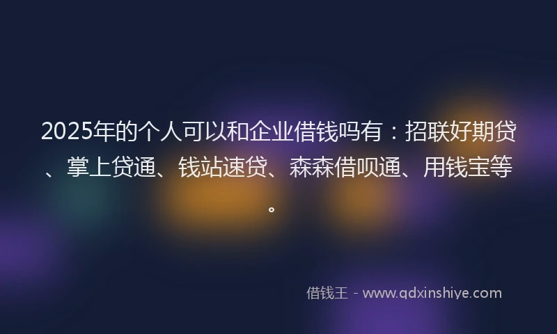 2025年的个人可以和企业借钱吗有：招联好期贷、掌上贷通、钱站速贷、森森借呗通、用钱宝等。