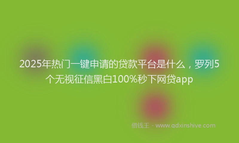 2025年热门一键申请的贷款平台是什么，罗列5个无视征信黑白100%秒下网贷app