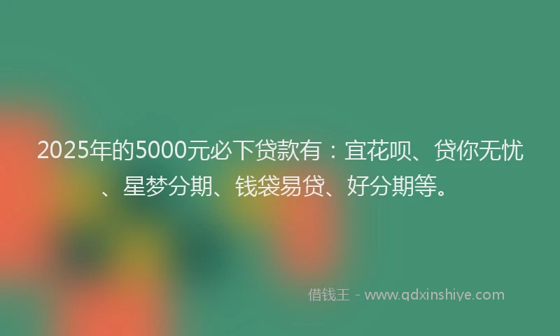 2025年的5000元必下贷款有：宜花呗、贷你无忧、星梦分期、钱袋易贷、好分期等。