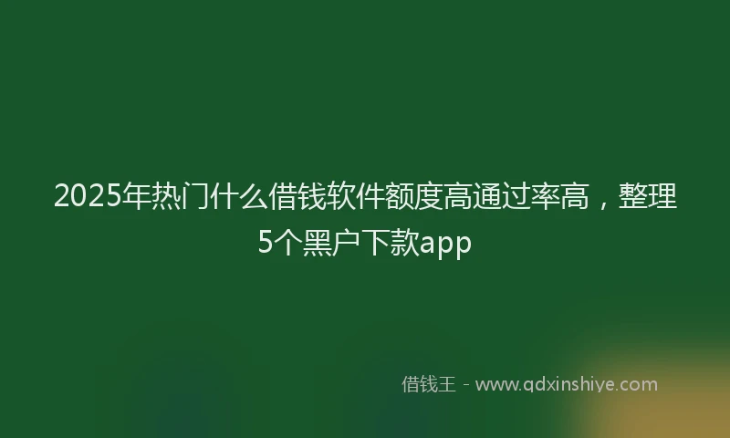 2025年热门什么借钱软件额度高通过率高，整理5个黑户下款app