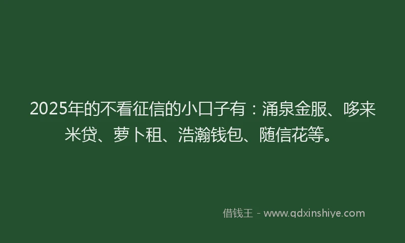 2025年的不看征信的小口子有：涌泉金服、哆来米贷、萝卜租、浩瀚钱包、随信花等。