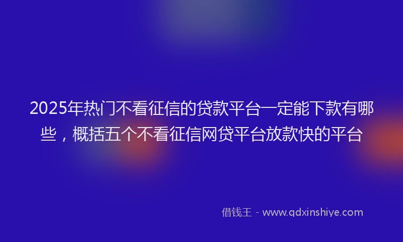 2025年热门不看征信的贷款平台一定能下款有哪些，概括五个不看征信网贷平台放款快的平台