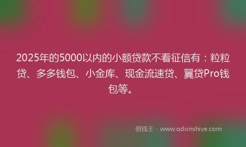 2025年的5000以内的小额贷款不看征信有：粒粒贷、多多钱包、小金库、现金流速贷、翼贷Pro钱包等。
