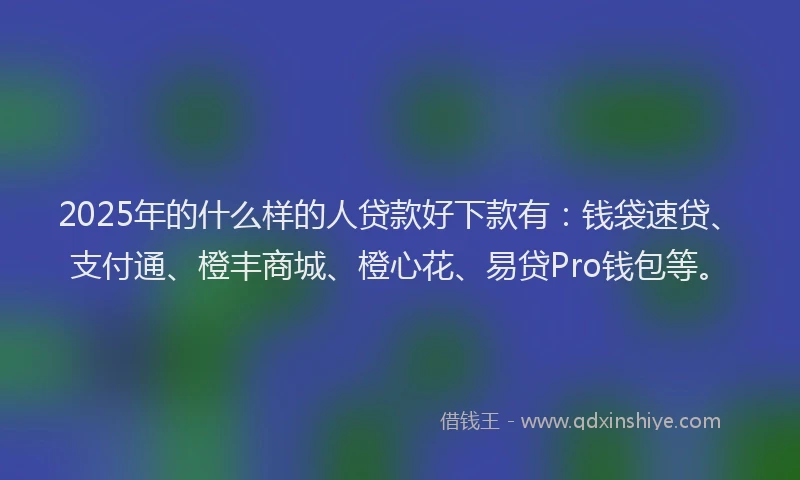 2025年的什么样的人贷款好下款有：钱袋速贷、支付通、橙丰商城、橙心花、易贷Pro钱包等。