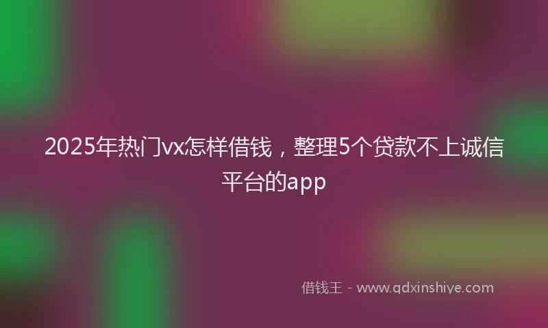 2025年热门vx怎样借钱，整理5个贷款不上诚信平台的app
