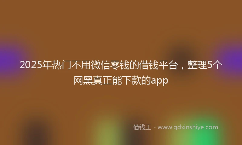 2025年热门不用微信零钱的借钱平台，整理5个网黑真正能下款的app