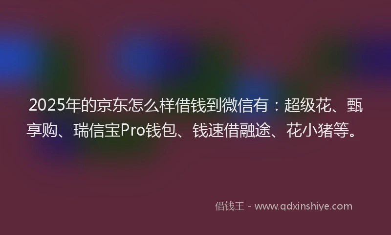 2025年的京东怎么样借钱到微信有：超级花、甄享购、瑞信宝Pro钱包、钱速借融途、花小猪等。