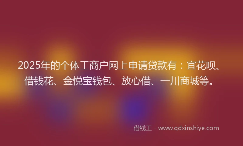 2025年的个体工商户网上申请贷款有：宜花呗、借钱花、金悦宝钱包、放心借、一川商城等。