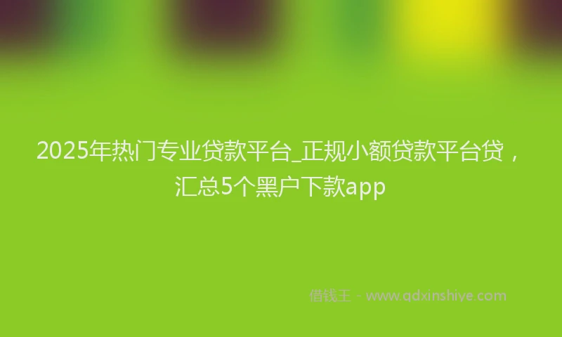 2025年热门专业贷款平台_正规小额贷款平台贷，汇总5个黑户下款app