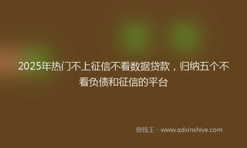 2025年热门不上征信不看数据贷款，归纳五个不看负债和征信的平台