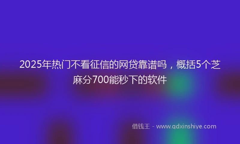 2025年热门不看征信的网贷靠谱吗，概括5个芝麻分700能秒下的软件