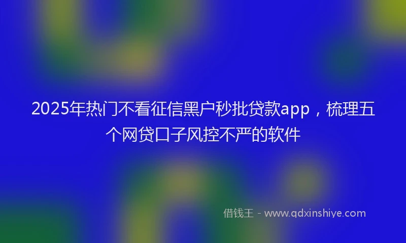 2025年热门不看征信黑户秒批贷款app，梳理五个网贷口子风控不严的软件