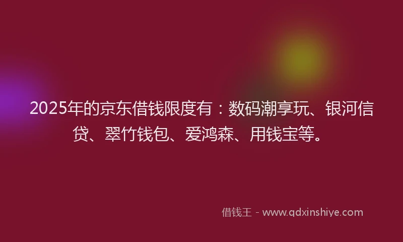 2025年的京东借钱限度有：数码潮享玩、银河信贷、翠竹钱包、爱鸿森、用钱宝等。