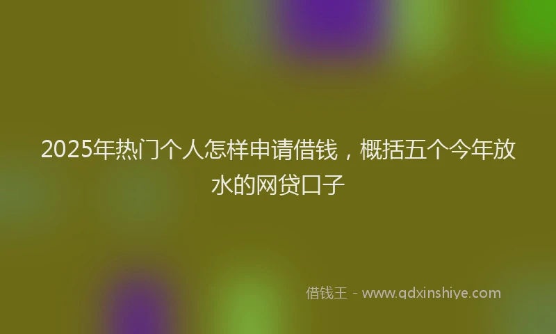 2025年热门个人怎样申请借钱，概括五个今年放水的网贷口子