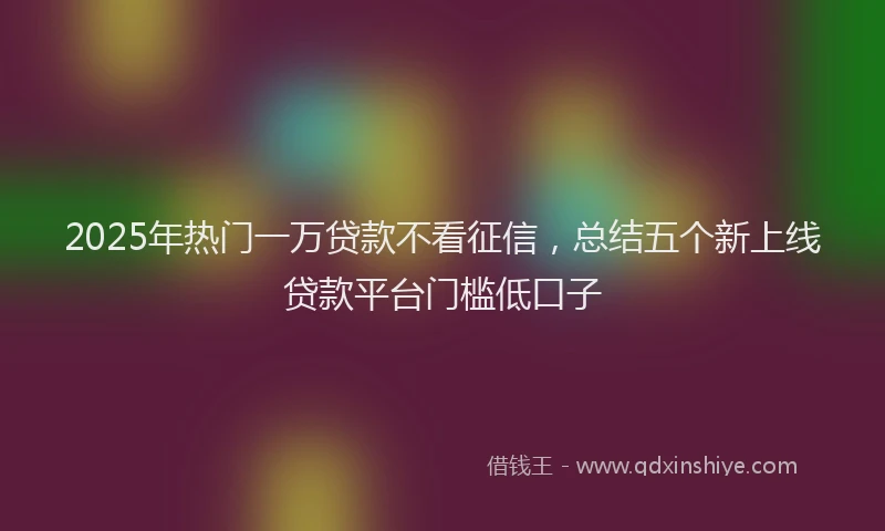 2025年热门一万贷款不看征信，总结五个新上线贷款平台门槛低口子