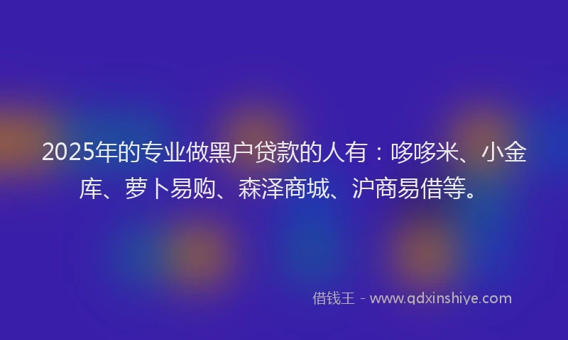 2025年的专业做黑户贷款的人有：哆哆米、小金库、萝卜易购、森泽商城、沪商易借等。