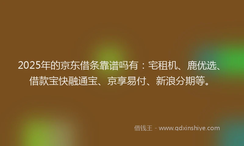 2025年的京东借条靠谱吗有：宅租机、鹿优选、借款宝快融通宝、京享易付、新浪分期等。