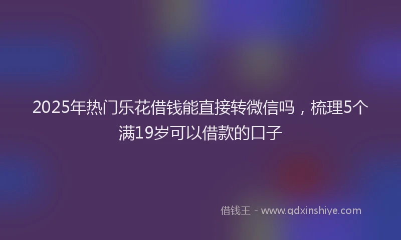 2025年热门乐花借钱能直接转微信吗，梳理5个满19岁可以借款的口子