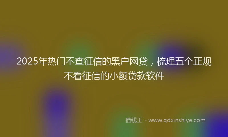 2025年热门不查征信的黑户网贷，梳理五个正规不看征信的小额贷款软件