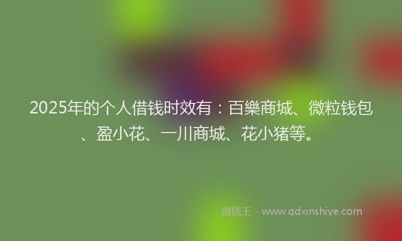 2025年的个人借钱时效有：百樂商城、微粒钱包、盈小花、一川商城、花小猪等。