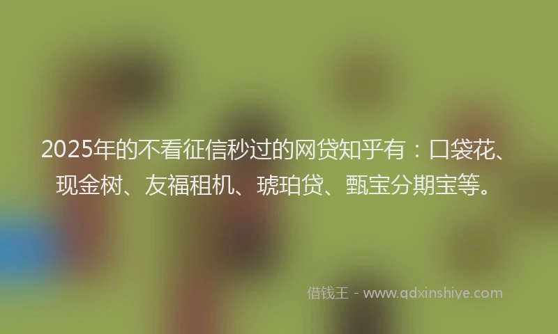 2025年的不看征信秒过的网贷知乎有：口袋花、现金树、友福租机、琥珀贷、甄宝分期宝等。