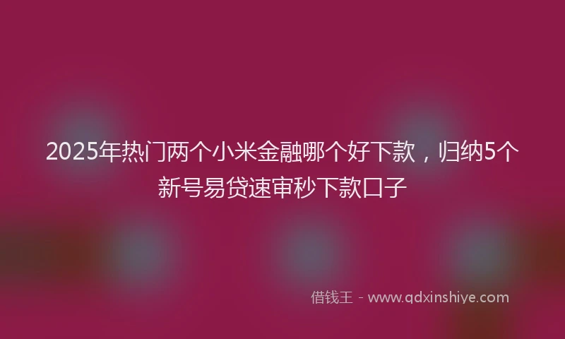2025年热门两个小米金融哪个好下款，归纳5个新号易贷速审秒下款口子
