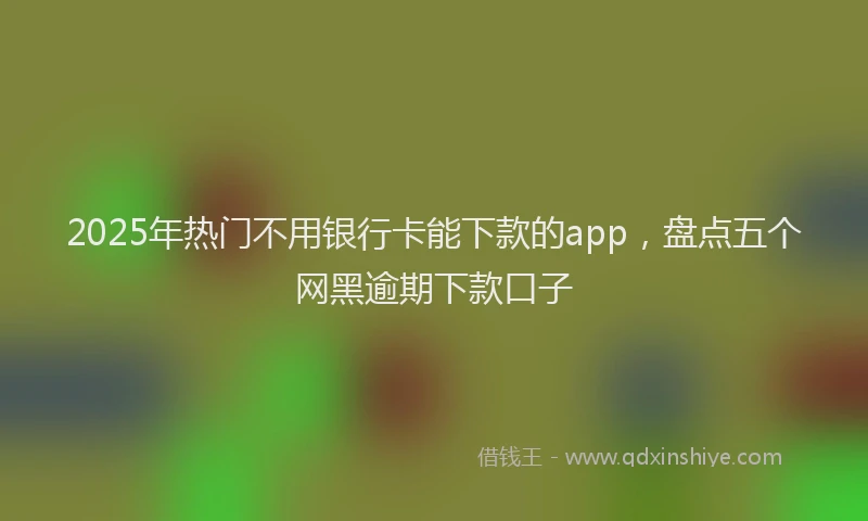 2025年热门不用银行卡能下款的app，盘点五个网黑逾期下款口子