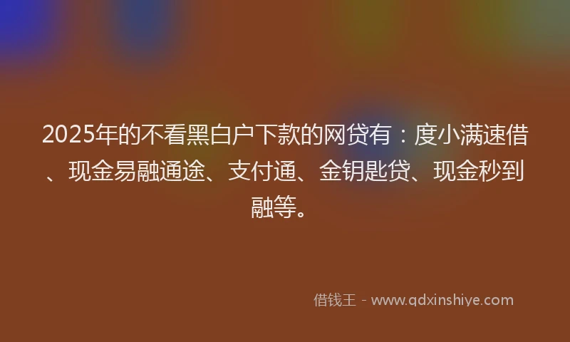 2025年的不看黑白户下款的网贷有：度小满速借、现金易融通途、支付通、金钥匙贷、现金秒到融等。