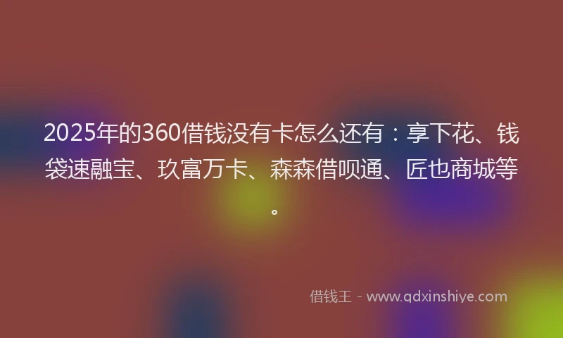 2025年的360借钱没有卡怎么还有：享下花、钱袋速融宝、玖富万卡、森森借呗通、匠也商城等。