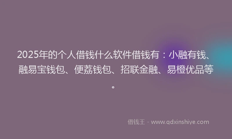 2025年的个人借钱什么软件借钱有：小融有钱、融易宝钱包、便荔钱包、招联金融、易橙优品等。