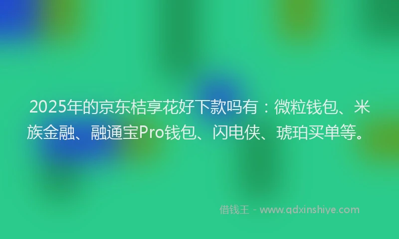 2025年的京东桔享花好下款吗有：微粒钱包、米族金融、融通宝Pro钱包、闪电侠、琥珀买单等。